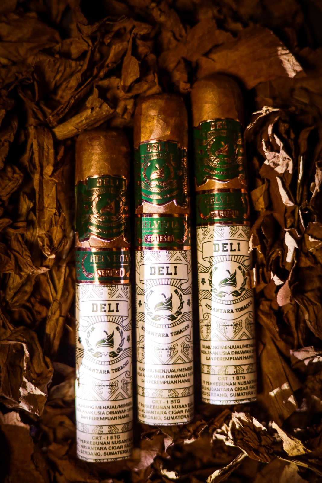 WhatsApp Image 2026-02-19 at 19.56.16 (1)