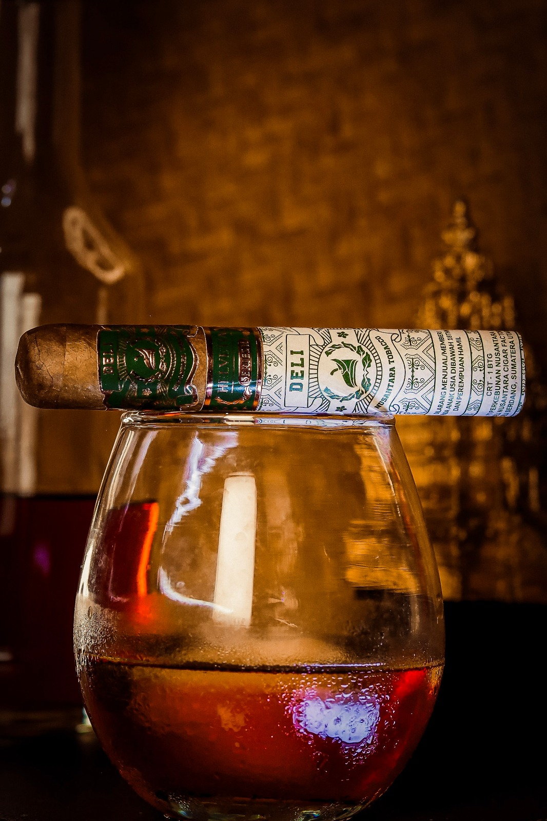 WhatsApp Image 2026-02-19 at 19.56.16