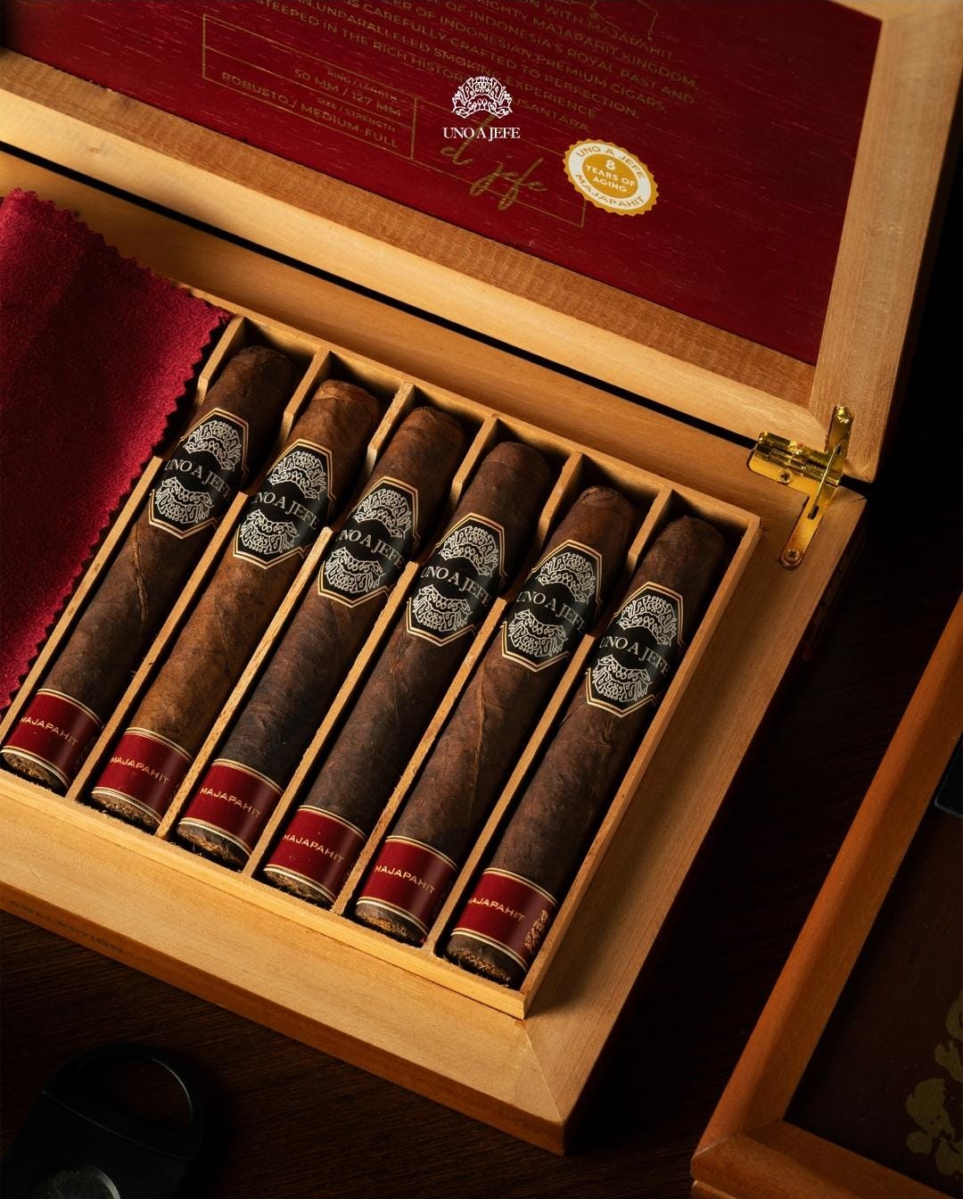 WhatsApp Image 2026-02-20 at 23.02.54